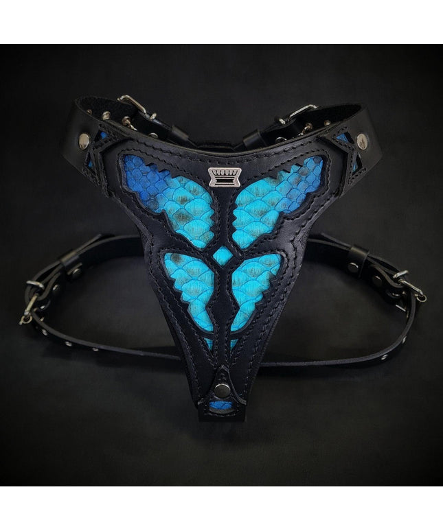 The ''Morelia Python'' harness Medium Size-0