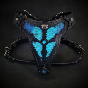 The ''Morelia Python'' harness Medium Size