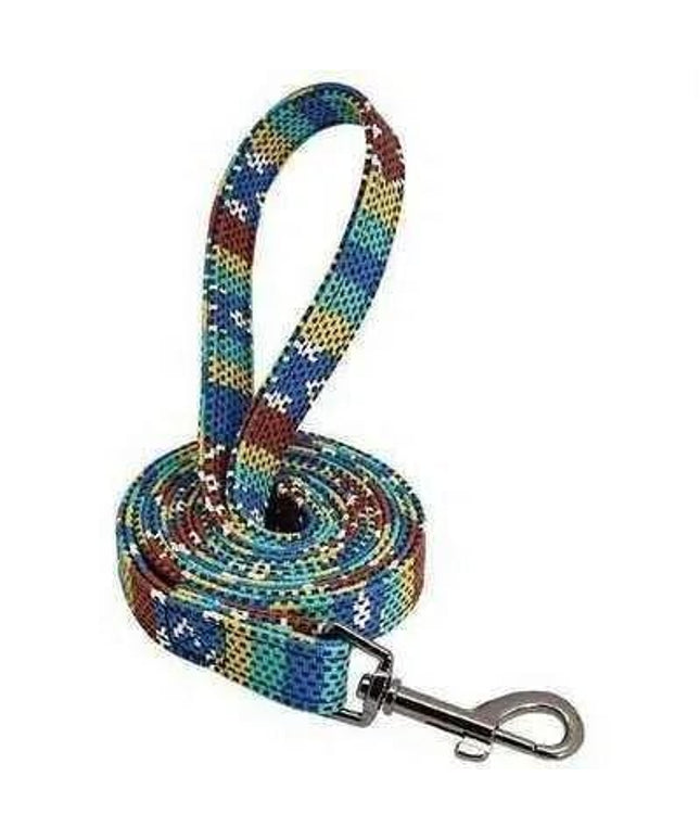 Personalised Dog Collar & Leash Set-10