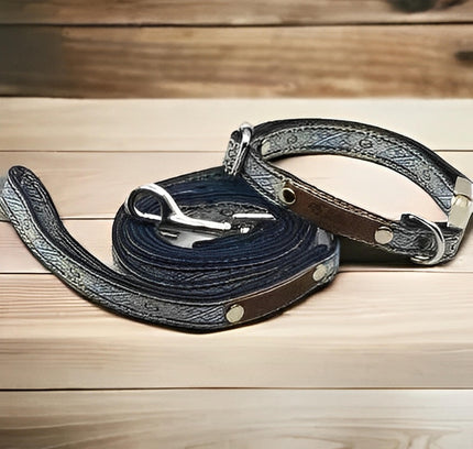 Petite Pooch Parade Designer Dog Collar Set-0