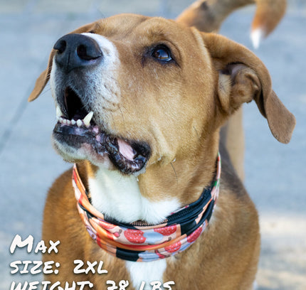 Pizza Luva Pup Scruff-0