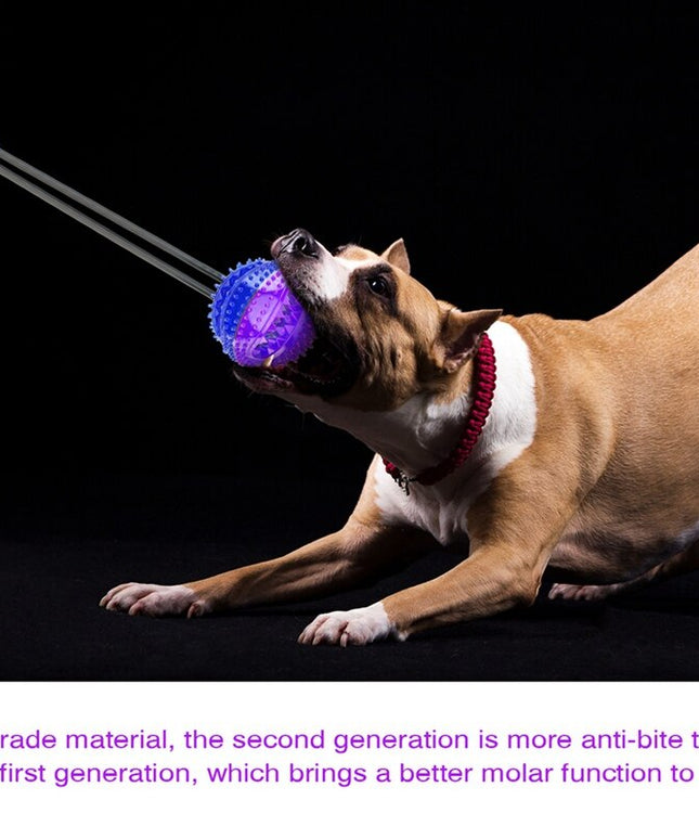 Interactive Pet Toys For Cats Dogs Training Suction Cup Push Ball Toys Elastic Ropes Pet Tooth Cleaning Chewing IQ Exercise New-3