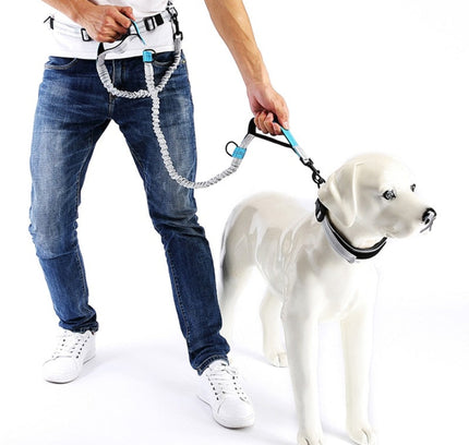 Leash Traction Rope Pet Dog Running Belt Elastic Hands Freely Jogging Pull Dog Leash 2 Colors-0