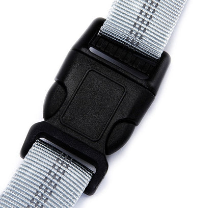 Leash Traction Rope Pet Dog Running Belt Elastic Hands Freely Jogging Pull Dog Leash 2 Colors-1