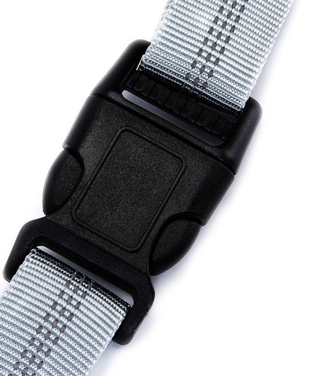 Leash Traction Rope Pet Dog Running Belt Elastic Hands Freely Jogging Pull Dog Leash 2 Colors-1