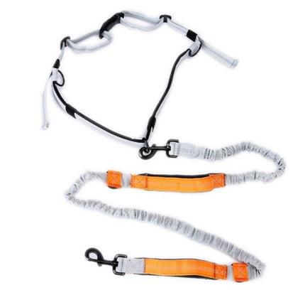 Leash Traction Rope Pet Dog Running Belt Elastic Hands Freely Jogging Pull Dog Leash 2 Colors-5