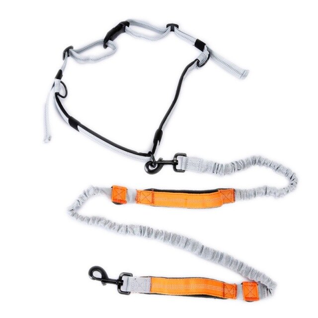 Leash Traction Rope Pet Dog Running Belt Elastic Hands Freely Jogging Pull Dog Leash 2 Colors-5