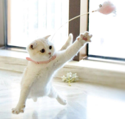 Funny Cat Collar Toy Feather Teaser Stick Interesting Automatic Cat Toy Foot Interactive Cats Teaser Feather Kitten Toys-0