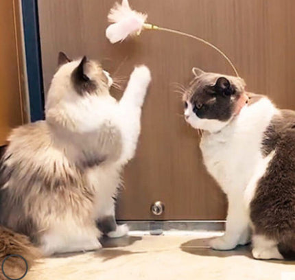 Funny Cat Collar Toy Feather Teaser Stick Interesting Automatic Cat Toy Foot Interactive Cats Teaser Feather Kitten Toys-4