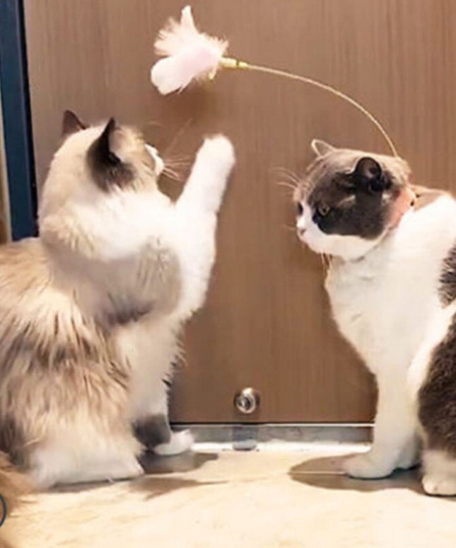 Funny Cat Collar Toy Feather Teaser Stick Interesting Automatic Cat Toy Foot Interactive Cats Teaser Feather Kitten Toys-4
