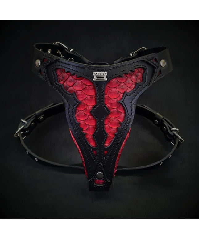 The ''Red Dragon'' harness Medium Size-0