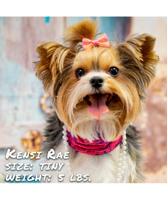 Rocky Road Pink Pup Scruff-0