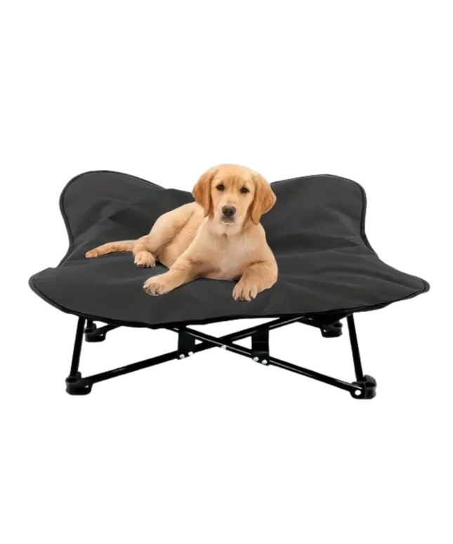 Portable Elevated Dog Bed for All Dog-0