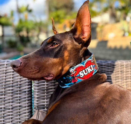 The M&M Limited SET-2