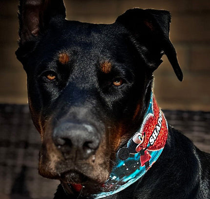 The M&M Limited SET-3