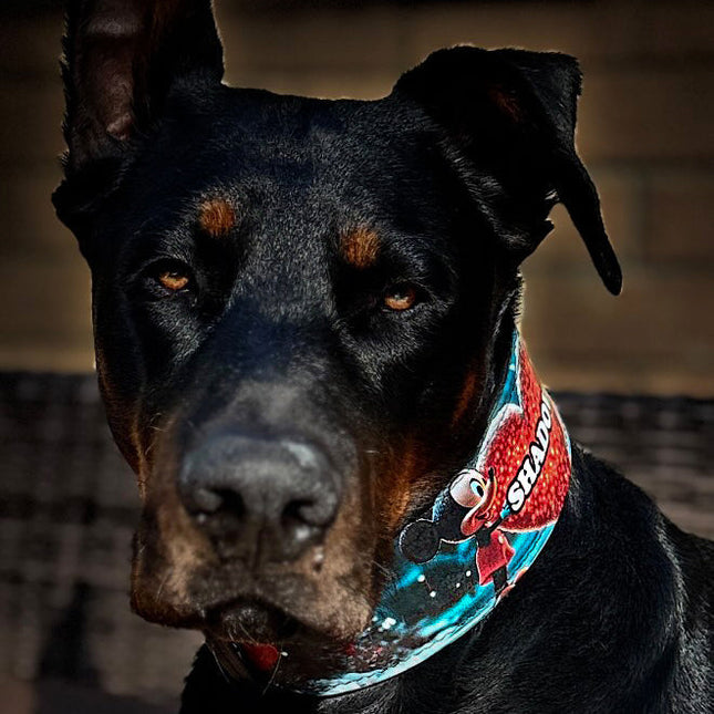 The M&M Limited SET-3