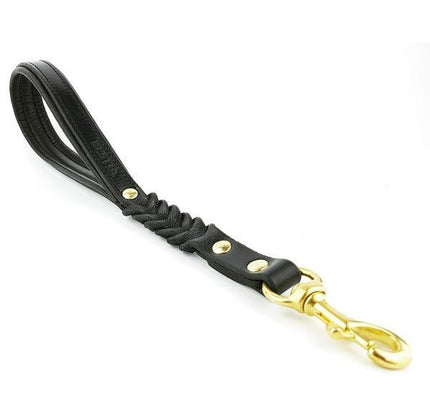 Short "Control" Lead-3