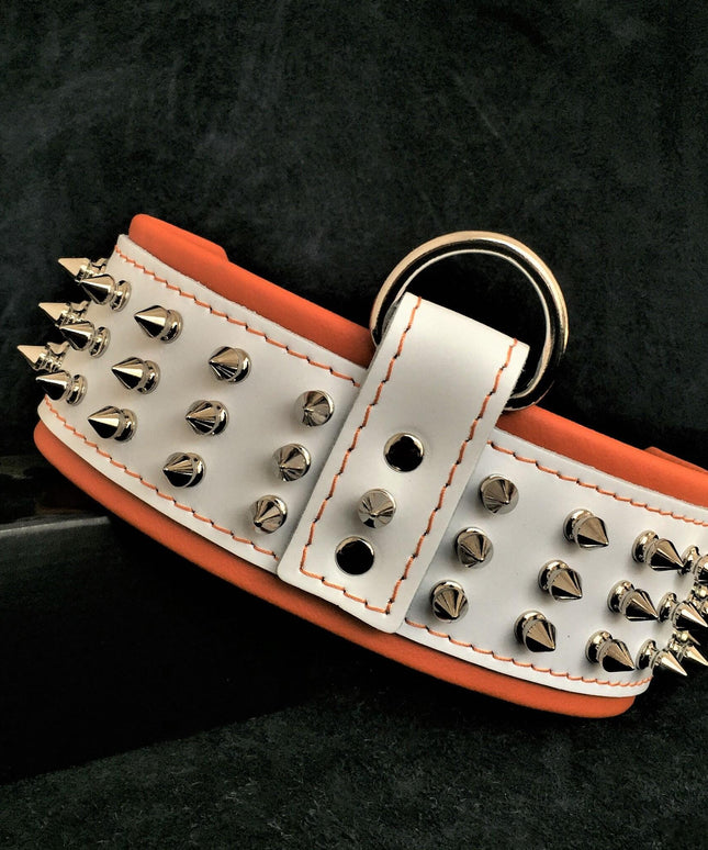 "Silver Giant" collar White-0