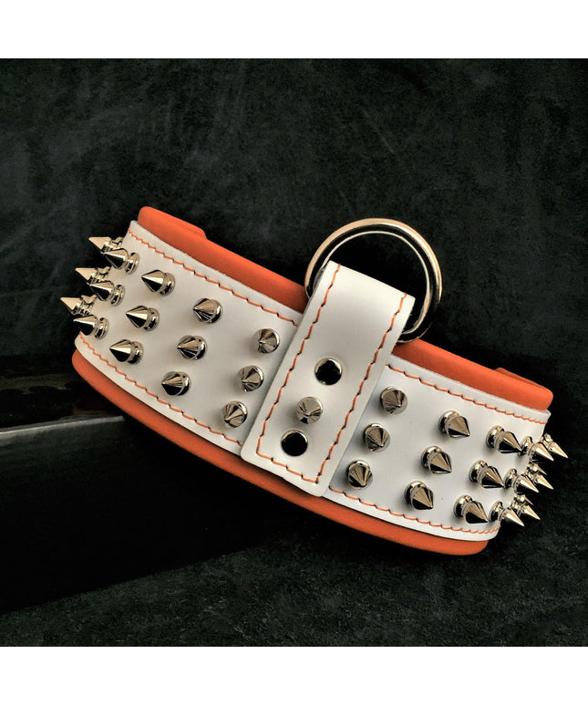 "Silver Giant" collar White-0