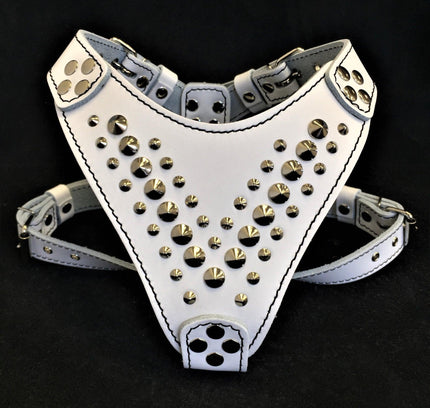 'Star'' Harness Small to Medium size-0