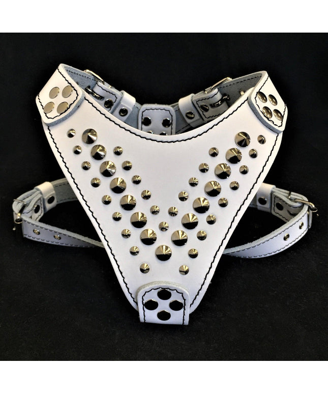 'Star'' Harness Small to Medium size-0