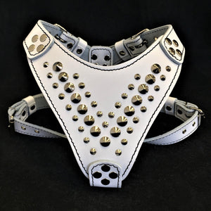 'Star'' Harness Small to Medium size