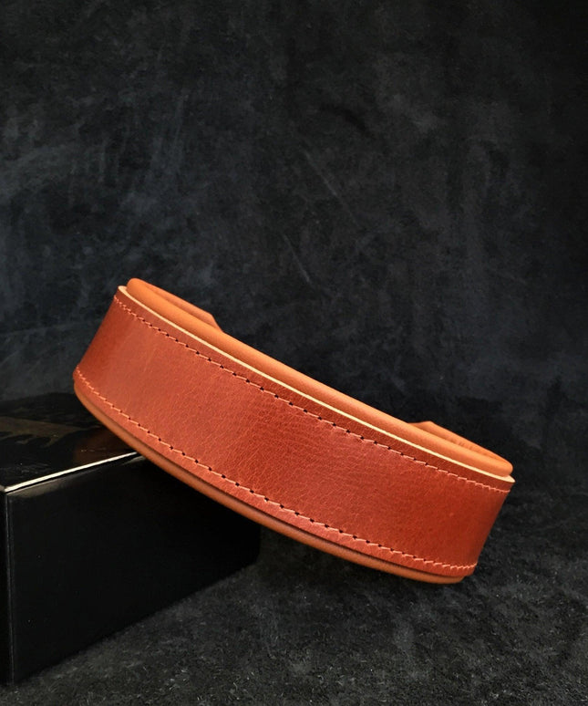 "Stylish" 2 inch wide dog collar-1