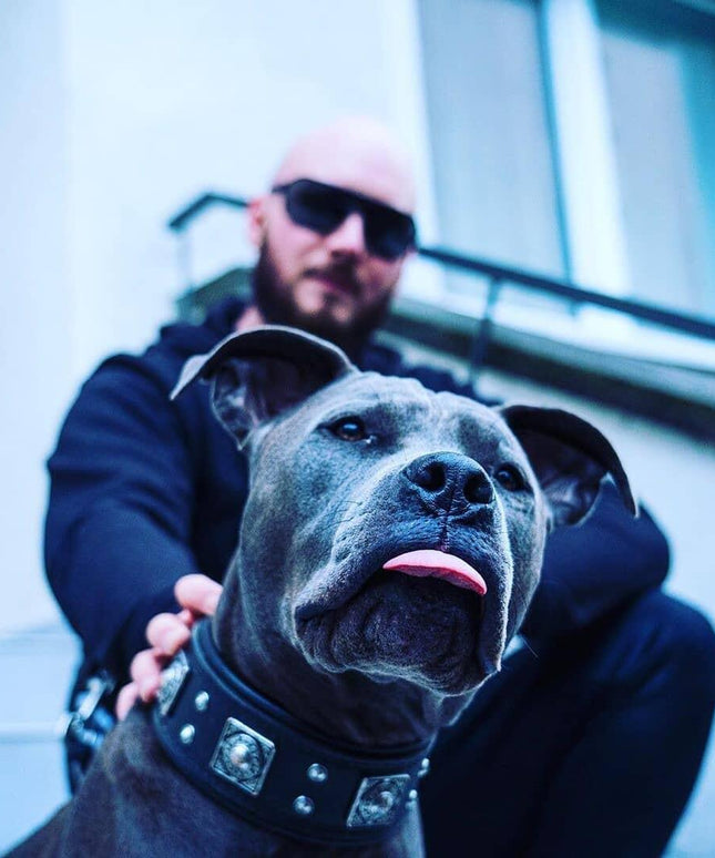 The all Black "Eros" collar 2.5 inch wide-1