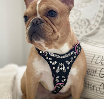 The ''Ariel'' harness Small to Medium Size