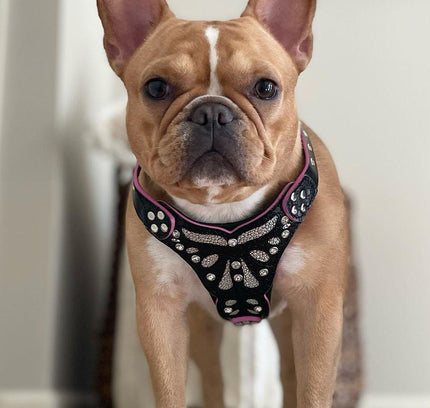 The ''Ariel'' harness Small to Medium Size