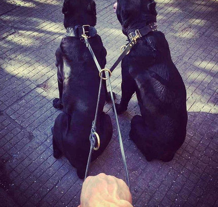 The Bestia multi purpose Police leash-4