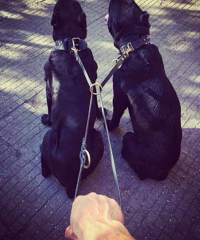 The Bestia multi purpose Police leash-4