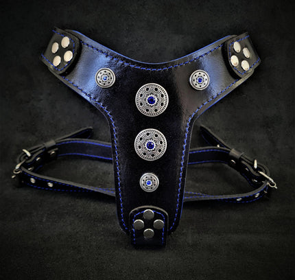 The ''Bijou'' harness Black & Blue Small to Medium Size-0