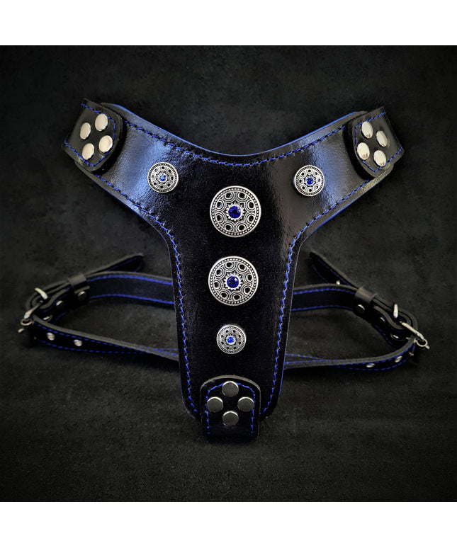 The ''Bijou'' harness Black & Blue Small to Medium Size-0