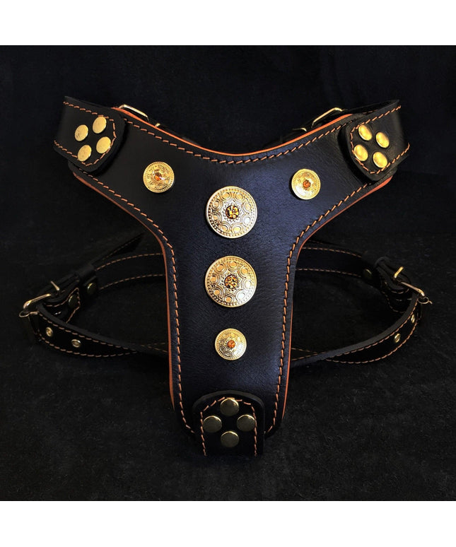 The ''Bijou'' harness Black & Orange Small to Medium Size-0