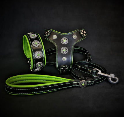 The ''Bijou'' SET -  Collar, Harness, Leash. Green-0