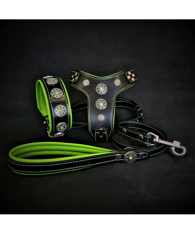 The ''Bijou'' SET -  Collar, Harness, Leash. Green-0