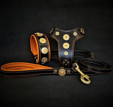 The ''Bijou'' SET -  Collar, Harness, Leash. Orange-0