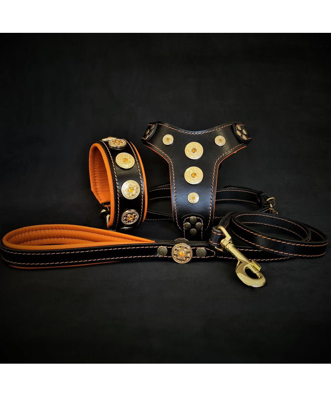 The ''Bijou'' SET -  Collar, Harness, Leash. Orange-0