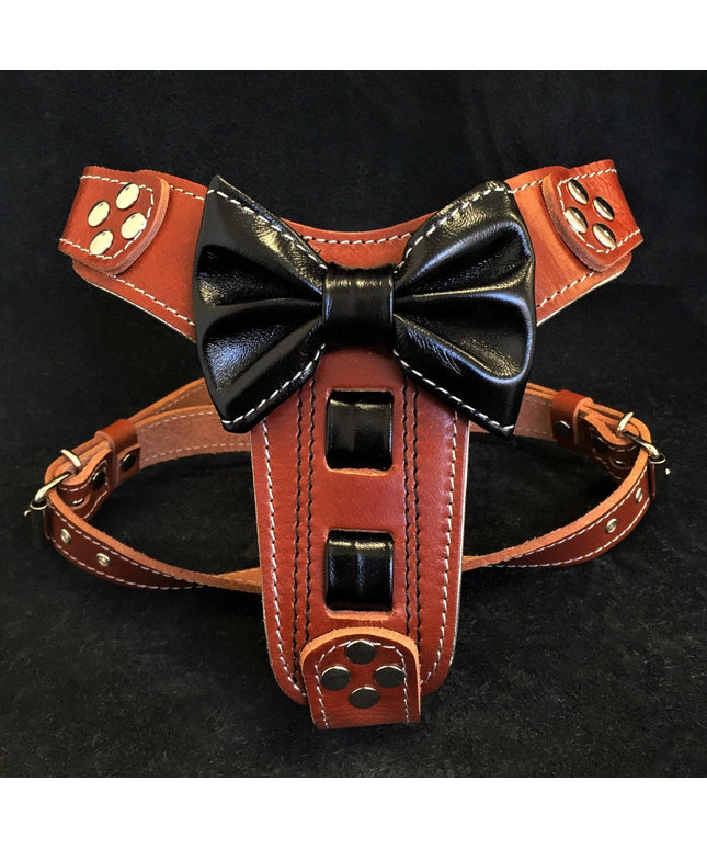 The "Bowtie" leather harness brown Small to Medium Size-0