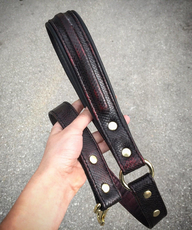 The ''COBRA'' leash-1