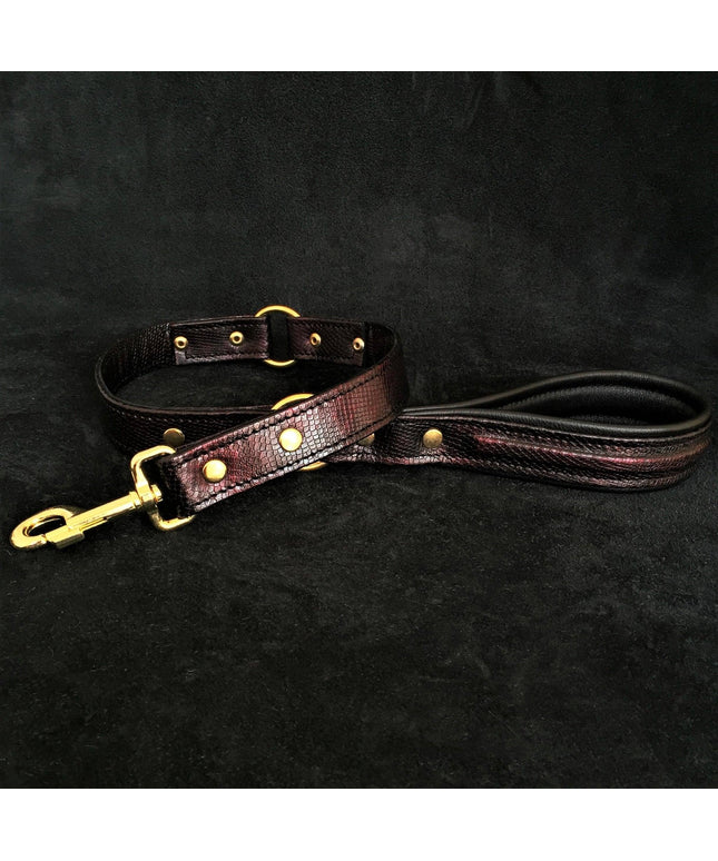 The ''COBRA'' leash-0