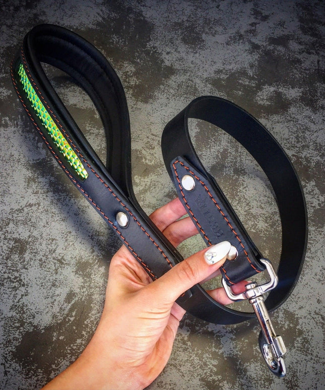 The ''D`Albertis'' collar-2