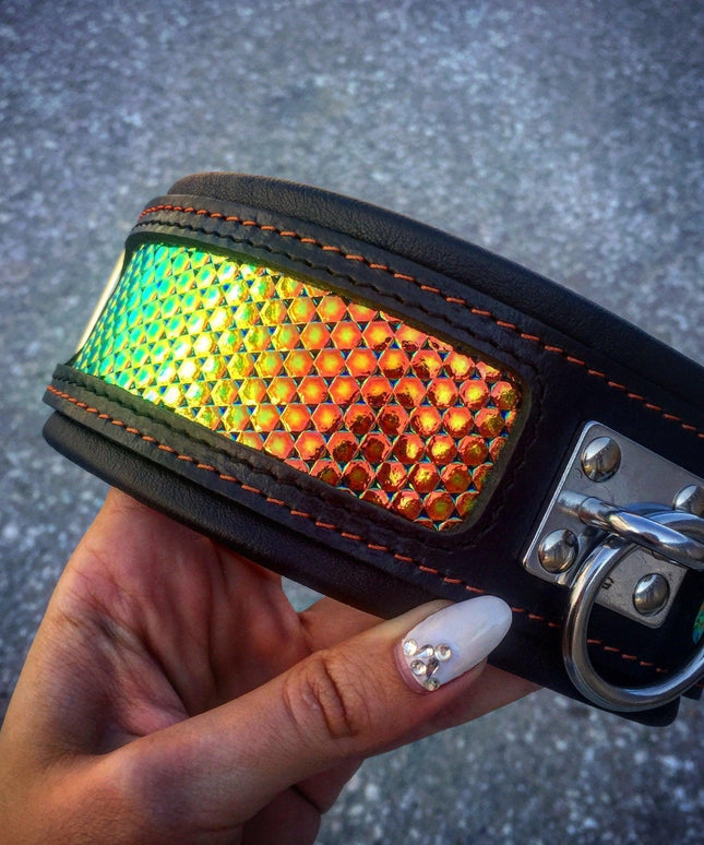 The ''D`Albertis'' collar-1