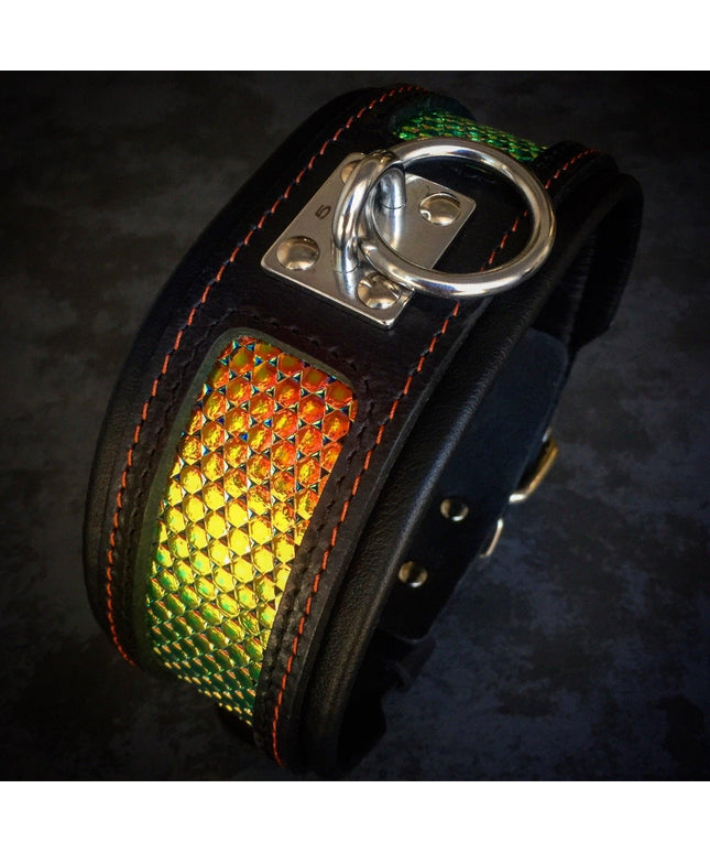 The ''D`Albertis'' collar-0