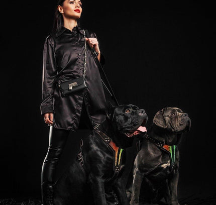 The ''D`Albertis'' harness LIMITED-2