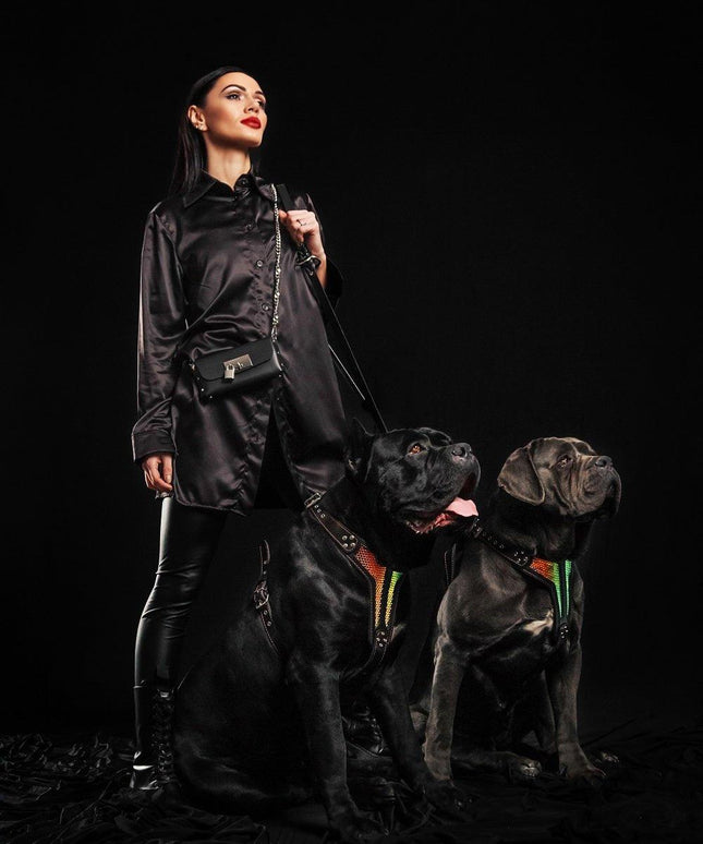 The ''D`Albertis'' harness LIMITED-2