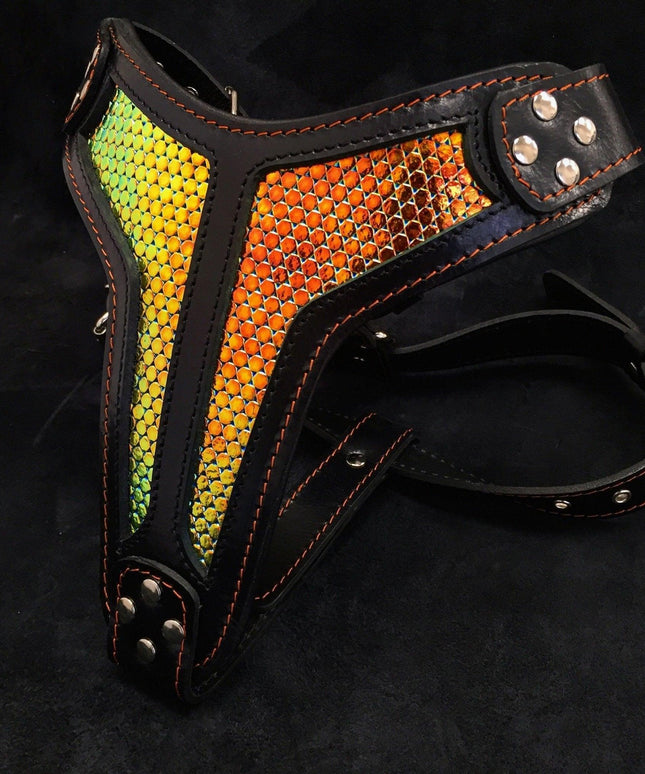 The ''D`Albertis'' harness LIMITED-1