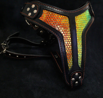 The ''D`Albertis'' harness LIMITED-0