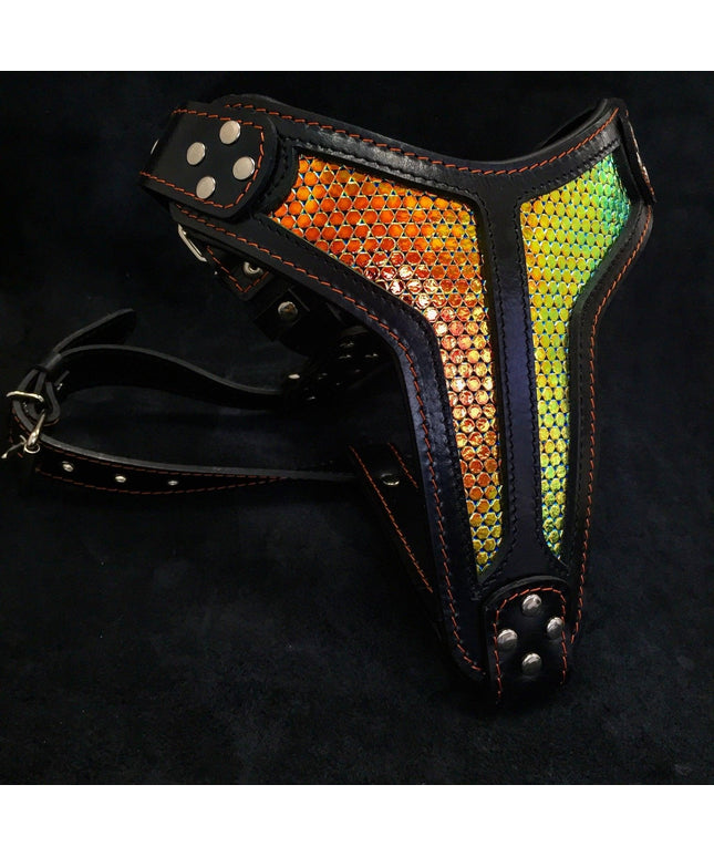 The ''D`Albertis'' harness LIMITED-0